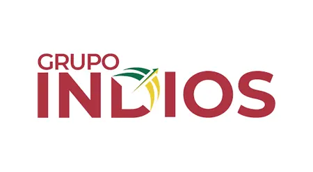 Grupo indios